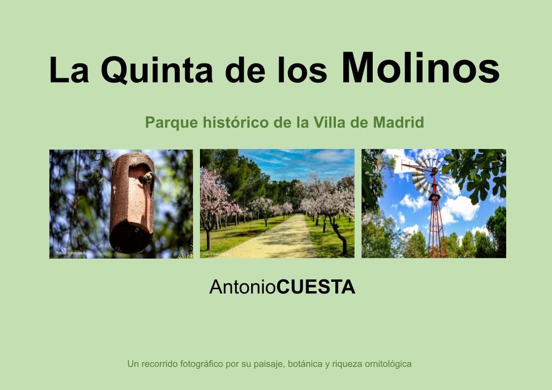 ScampoloGallery - portada-libro-quinta-de-los-molinos.jpg