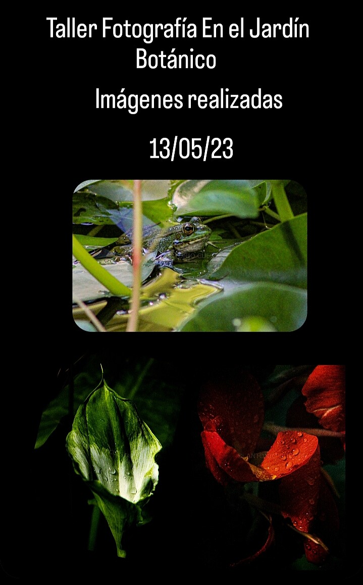 IMG_20230516_122503